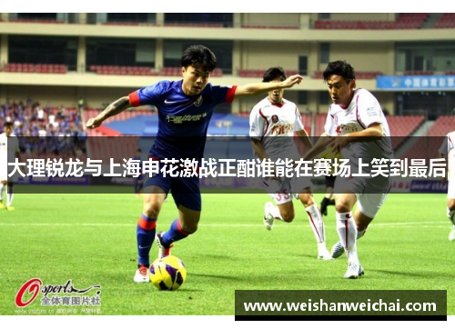 大理锐龙与上海申花激战正酣谁能在赛场上笑到最后