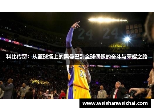 科比传奇：从篮球场上的黑曼巴到全球偶像的奋斗与荣耀之路