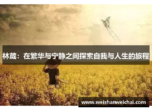 林葳：在繁华与宁静之间探索自我与人生的旅程