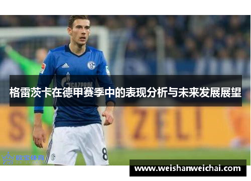 格雷茨卡在德甲赛季中的表现分析与未来发展展望